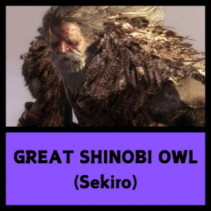Sekiro 9 — Every SoulsBorne Boss + Sekiro + Lies of P option 199