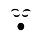 Nofilter 70 — roblox faces option 316