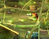 Dpl — Super Smash Bros. Stages option 20