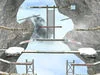 Super Smash Bros. Stages — option 42