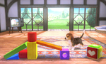 Super Smash Bros. Stages — option 50