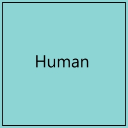 Human — Fantasy races option 20