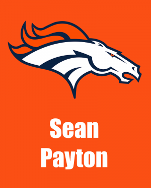 Broncos — 2026-2027 NFL Head Coaches option 5