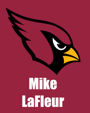 Cardinals — 2026-2027 NFL Head Coaches option 8