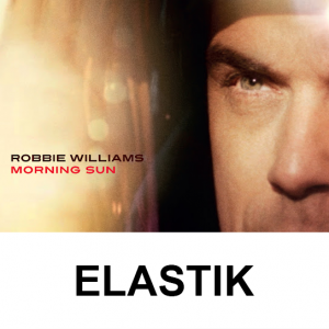 Zzzzz 174502917914 — Every Robbie Williams Song option 176