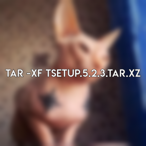 25 15170ed — ECHO TO ALL USERS option 11