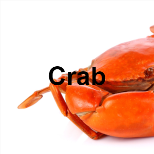 24crab — Meat, Seafood and Protein tierlist! option 17