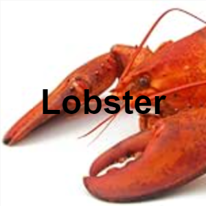 25lobster — Meat, Seafood and Protein tierlist! option 18