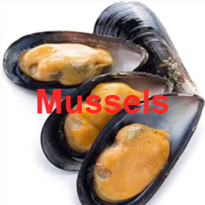 28mussels — Meat, Seafood and Protein tierlist! option 21