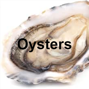 29oyster — Meat, Seafood and Protein tierlist! option 22