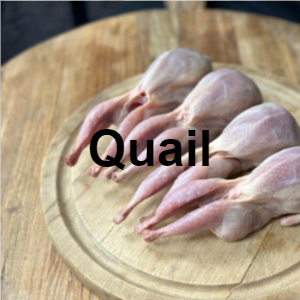 8quail — Meat, Seafood and Protein tierlist! option 41