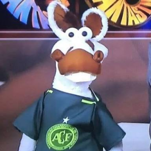 Cavalinho Chape — Lista de Cavalinhos do Fantástico option 11