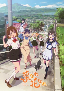 Narenare Cheer For You — All the 2024 anime option 197