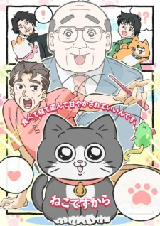 Neko Ni Tensei — All the 2024 anime option 200