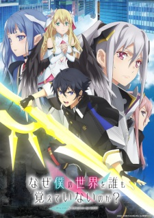 Why Does Nobody Remember Me — All the 2024 anime option 339