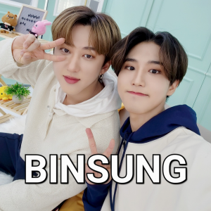 2kidsroomchangbinhantwitter220606 — Stray Kids Ships option 12