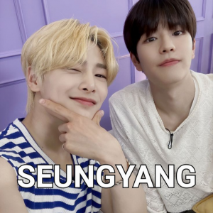 D8de1a647f6a37e773f7e123fff06944 — Stray Kids Ships option 27