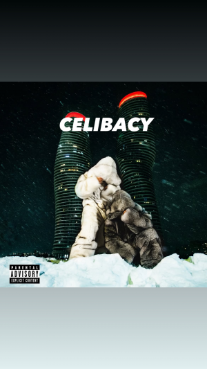 C92ffe99 A7c5 4a20 87c8 63a4db4f80f4 — $OME $EXY $ONGS 4U DRAKE & PARTYNEXTDOOR option 18