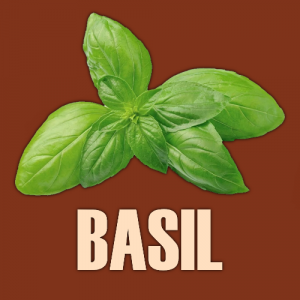 Basil — Ultimate Pizza Topping Tierlist option 12