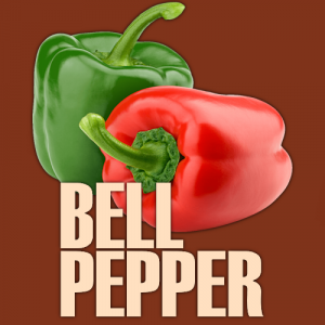 Bell Pepper — Ultimate Pizza Topping Tierlist option 14