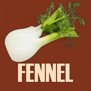 Fennel — Ultimate Pizza Topping Tierlist option 28