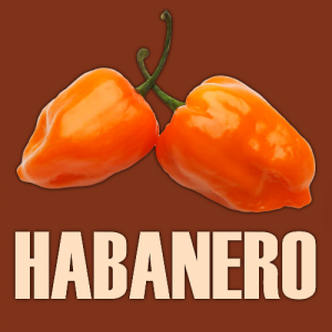Habanero — Ultimate Pizza Topping Tierlist option 31