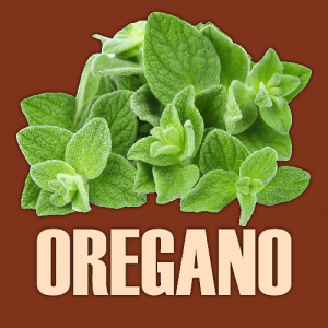 Oregano — Ultimate Pizza Topping Tierlist option 43