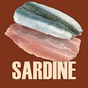 Sardine — Ultimate Pizza Topping Tierlist option 59