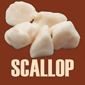 Scallop — Ultimate Pizza Topping Tierlist option 62