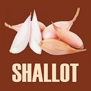 Shallot — Ultimate Pizza Topping Tierlist option 63