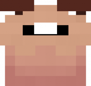 Theterrain — Lifesteal SMP Season 6 option 32