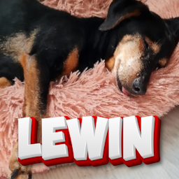 Zzzzz 1758322567lewin — DayLight Gaming - Teammitglieder option 83