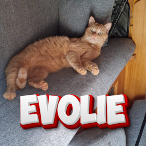 Zzzzz 1758323371evolie — DayLight Gaming - Teammitglieder option 48
