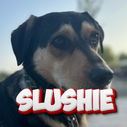Zzzzz 1758323371slushie — DayLight Gaming - Teammitglieder option 130