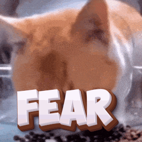 Zzzzz 1758537840fear — DayLight Gaming - Teammitglieder option 50