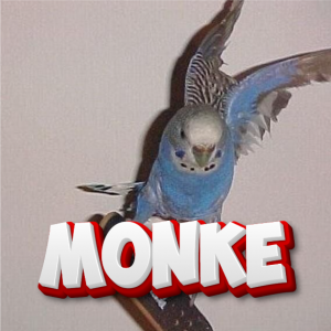 Zzzzz 1758545889monke — DayLight Gaming - Teammitglieder option 94