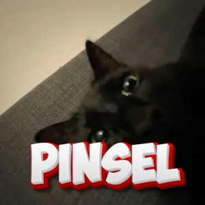 Zzzzz 1758545890pinselxgo — DayLight Gaming - Teammitglieder option 110