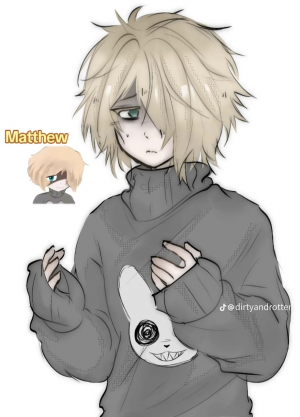 Img 20250725 Wa0015 — terrible mouse OC option 12