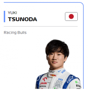 Screenshot 2025 01 09 192506 — F1 2025 Driver Predictions option 11