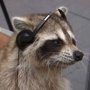 Allostatic — DGG genchat tierlist option 7
