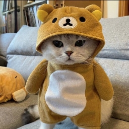 Redpanda — DGG genchat tierlist option 82