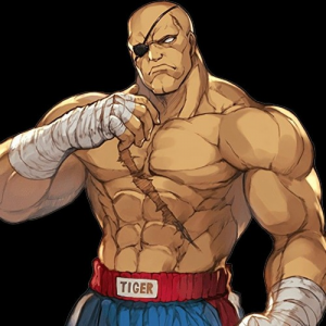 Artworks Lldbck0mx53fhfbz Ncv6zq T500x500 — All Street fighter Characters option 3