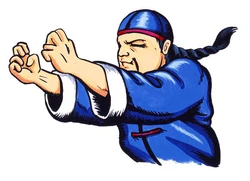 Zzzzz 1749290005lee Sf1alternate — All Street fighter Characters option 75