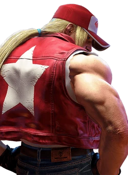 Zzzzz 1749290630terrysf6outfit1 — All Street fighter Characters option 96