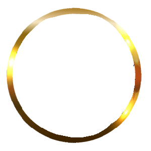 FREEDOM FIGHTERS OPINION — option 13