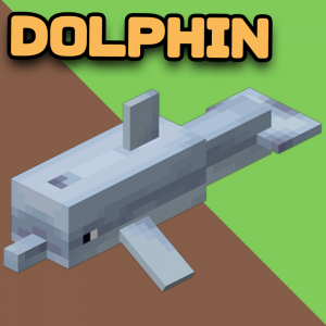 Dolphin — EVERY Minecraft Mob option 20