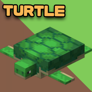 Turtle — EVERY Minecraft Mob option 79