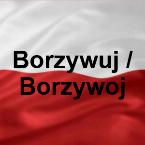 Borzywuj — Polskie Imiona Męskie option 46