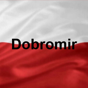 Dobromir — Polskie Imiona Męskie option 67