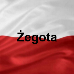 Egota — Polskie Imiona Męskie option 74